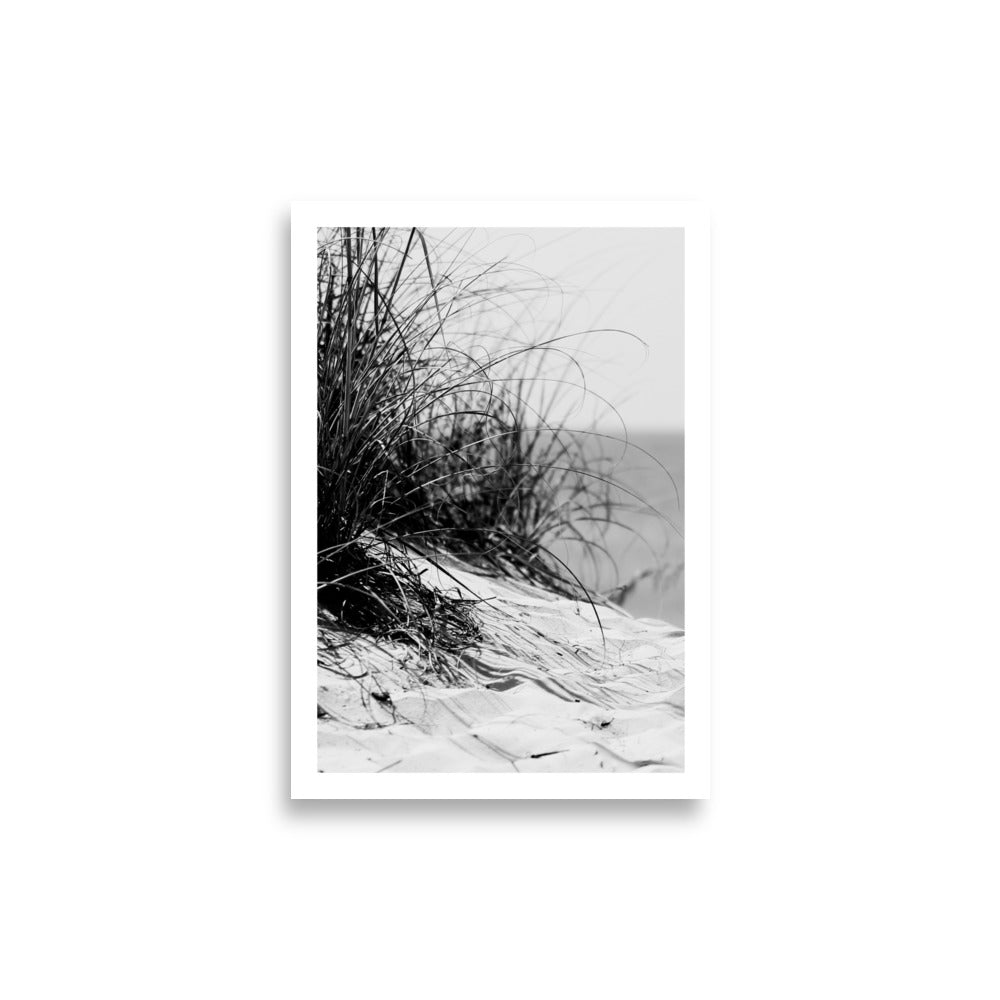 Beachgrass Print