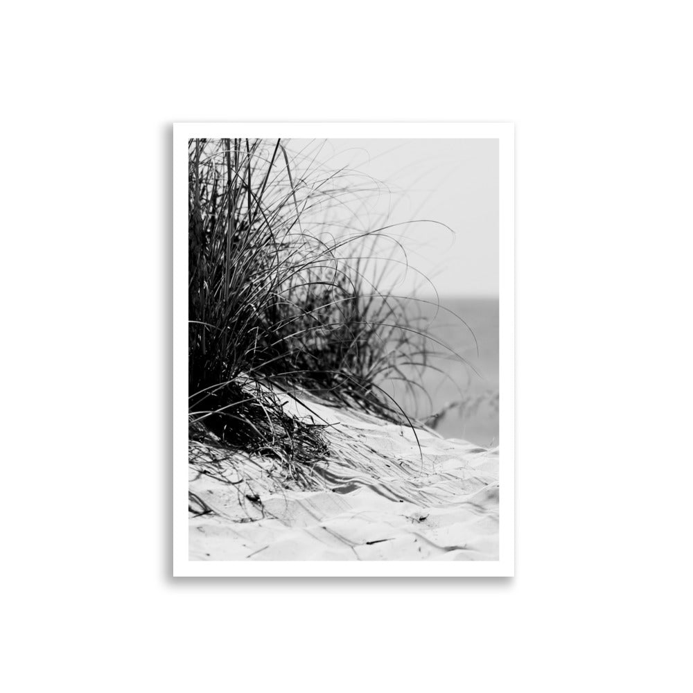 Beachgrass Print