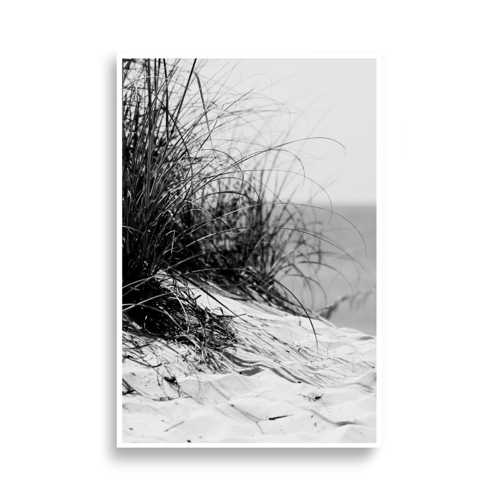 Beachgrass Print