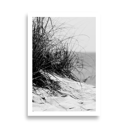 Beachgrass Print